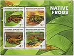 2025 Native Frogs